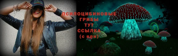 спиды Лагань