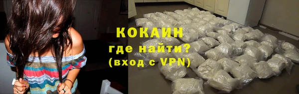 спиды Лагань