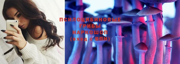 соль ск Ладушкин