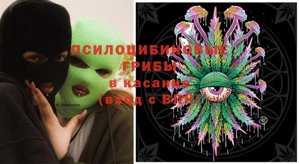 спиды Лагань