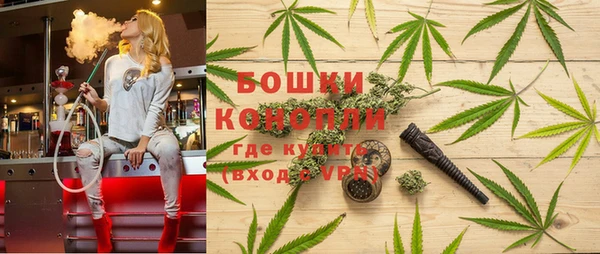 соль ск Ладушкин