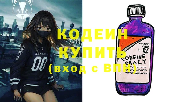 соль ск Ладушкин