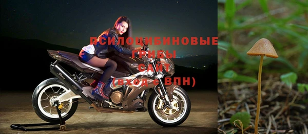 амф Лабытнанги