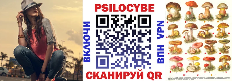 Псилоцибиновые грибы Psilocybine cubensis  Купить где  Александровск 